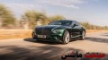 هیولای اشرافی با نشان 
