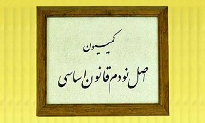 اصل 90  اجازه دخالت در امور شرکت های خصوصی را ندارد