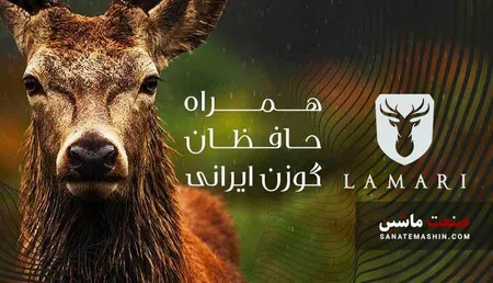 برگزاری کارگاه های آموزشی حفاظت از جنگل های هیرکانی با حمایت آرین پارس موتور